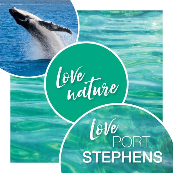 Whats on these Winter Holidays in Port Stephens NSW - Naturefest » Port Stephens